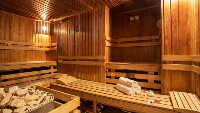 Poêles de sauna avec réservoir d'eau - Section Médias