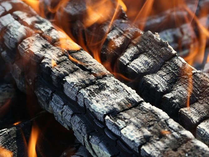 Le bois de chauffage est converti en charbon