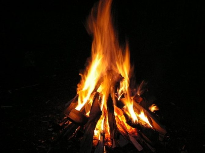 Spalování palivového dřeva