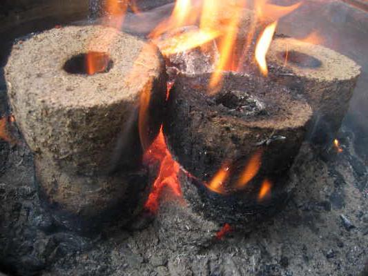 faire des briquettes de combustible à la maison