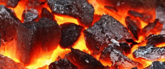 wie die Kohle brennt