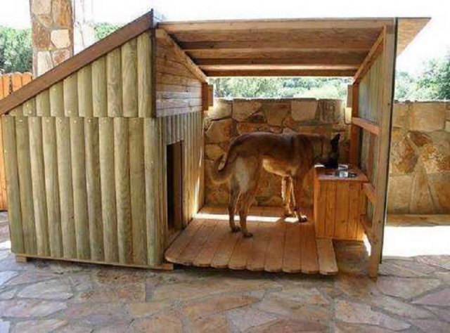 Hvordan og hva du skal isolere et hundehus for vinteren inne i bildet