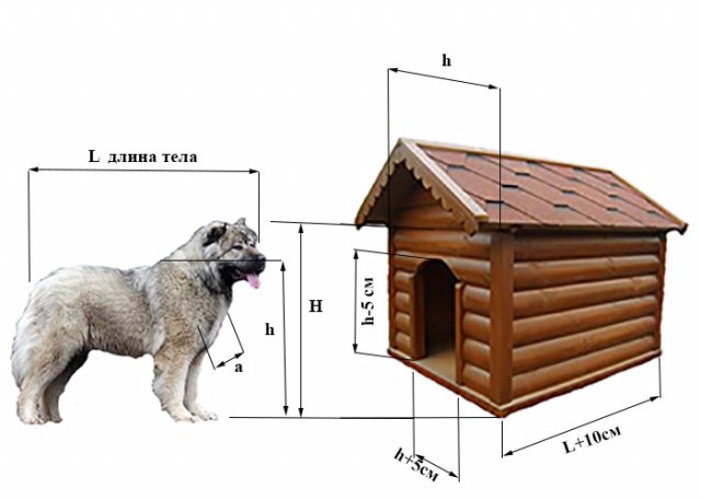 Fotoğrafın içindeki kış için bir köpek kulübesi nasıl ve ne yalıtılır