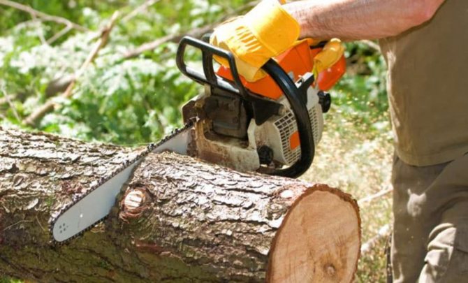 Cara memotong kayu