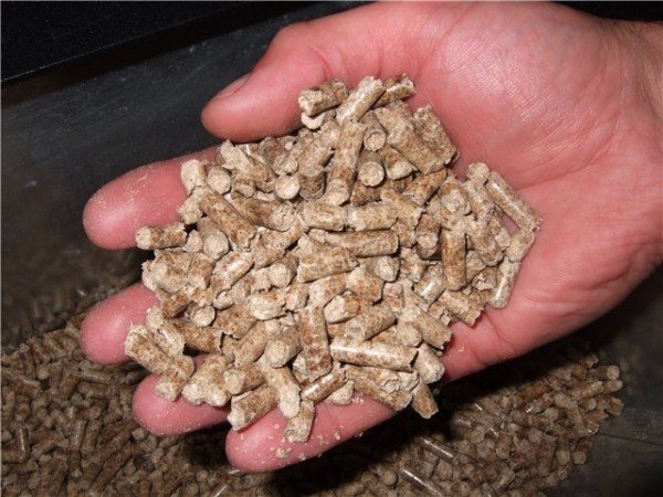Sawdust sa granules