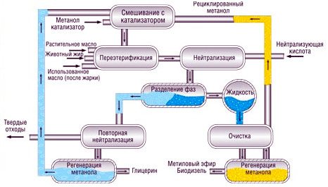 cycle complet de la phase glycérol