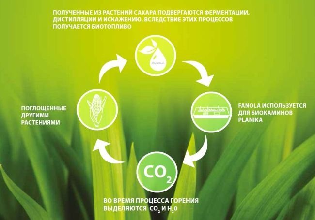 Comment fonctionnent les biocarburants