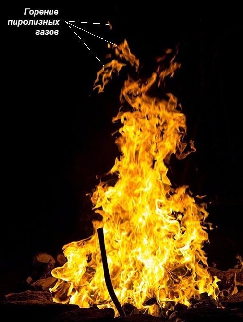 Brûler du bois dans un feu