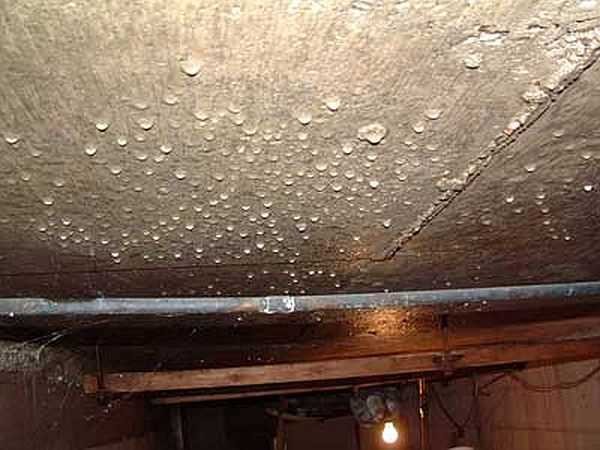 Éliminer la condensation dans la cave est plus difficile que l'empêcher d'apparaître