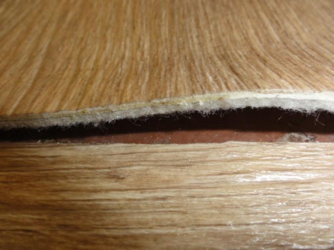 Linoléum isolé: à base de feutre, chaud et moussé, avec des poils épais sur un sol froid, avis
