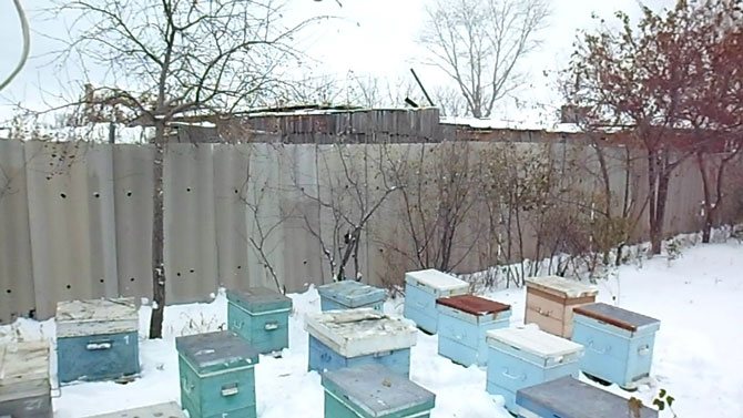 Clôture en ardoise pour protéger les ruches du vent
